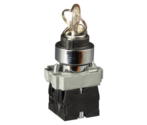 Фотография товара 'Engard SW2-BG21 Переключатель в металлическом корпусе с ключом "0-1" IP44'